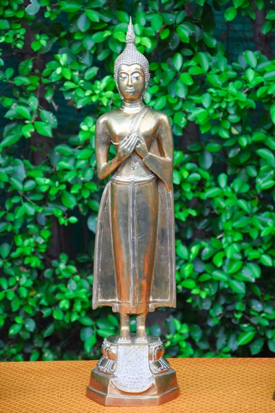 A Statue of the Friday Buddha Posture sitting on a brown table in front of some green plants