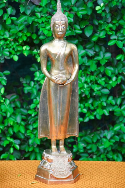 A Statue of the Wednesday Buddha Posture sitting on a brown table in front of some green plants