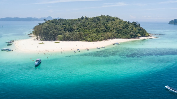 bamboo island overview