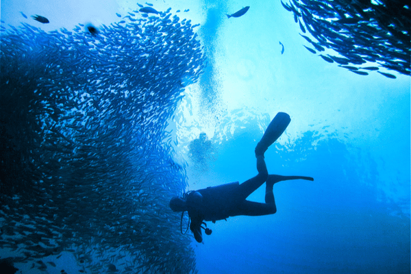 a man snorkeling amongst the fish at bida islands