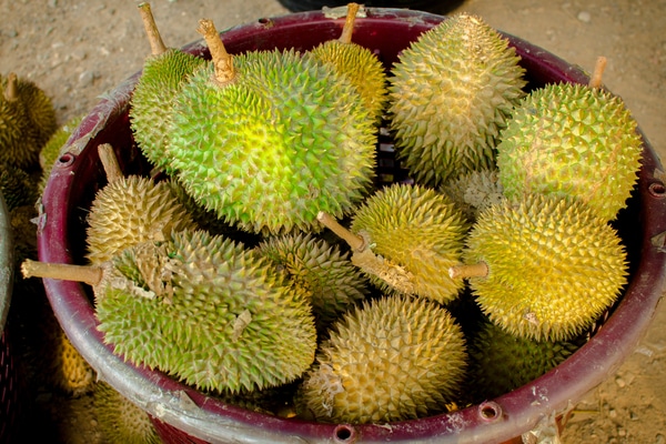 a bowl of durian fruit