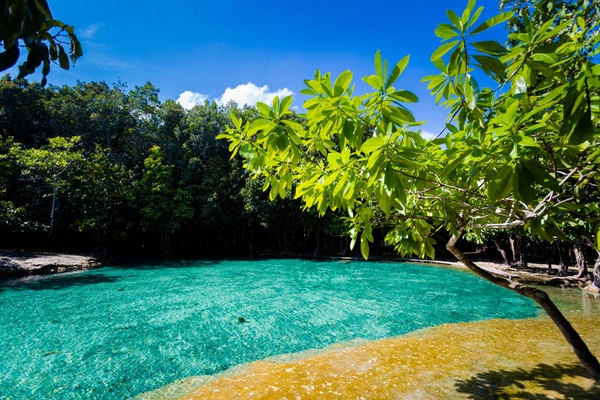 The crystal clear blue waters of the emerald pool in Krabi as seen from the foreshore