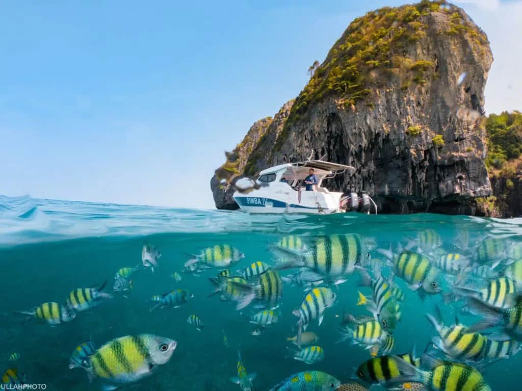 Best ways to Celebrate a Special Occasion in Phuket