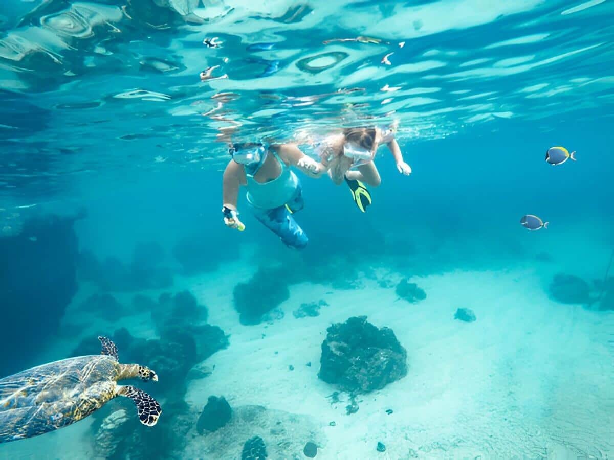 Dive Into Adventure: Snorkeling in Phang Nga Province
