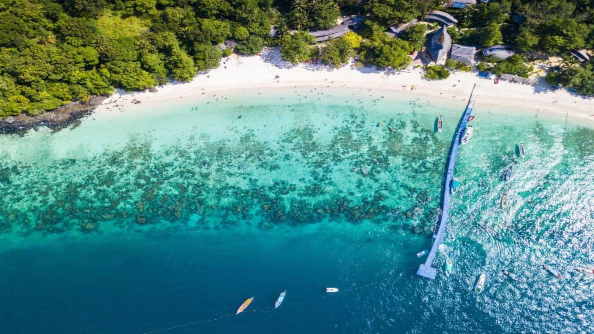 Coral Island