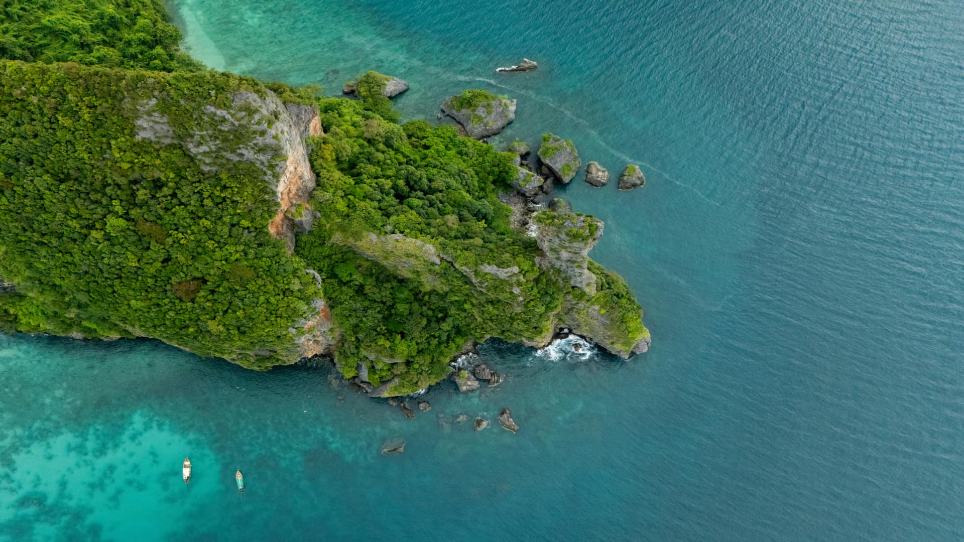 What You'll Experience