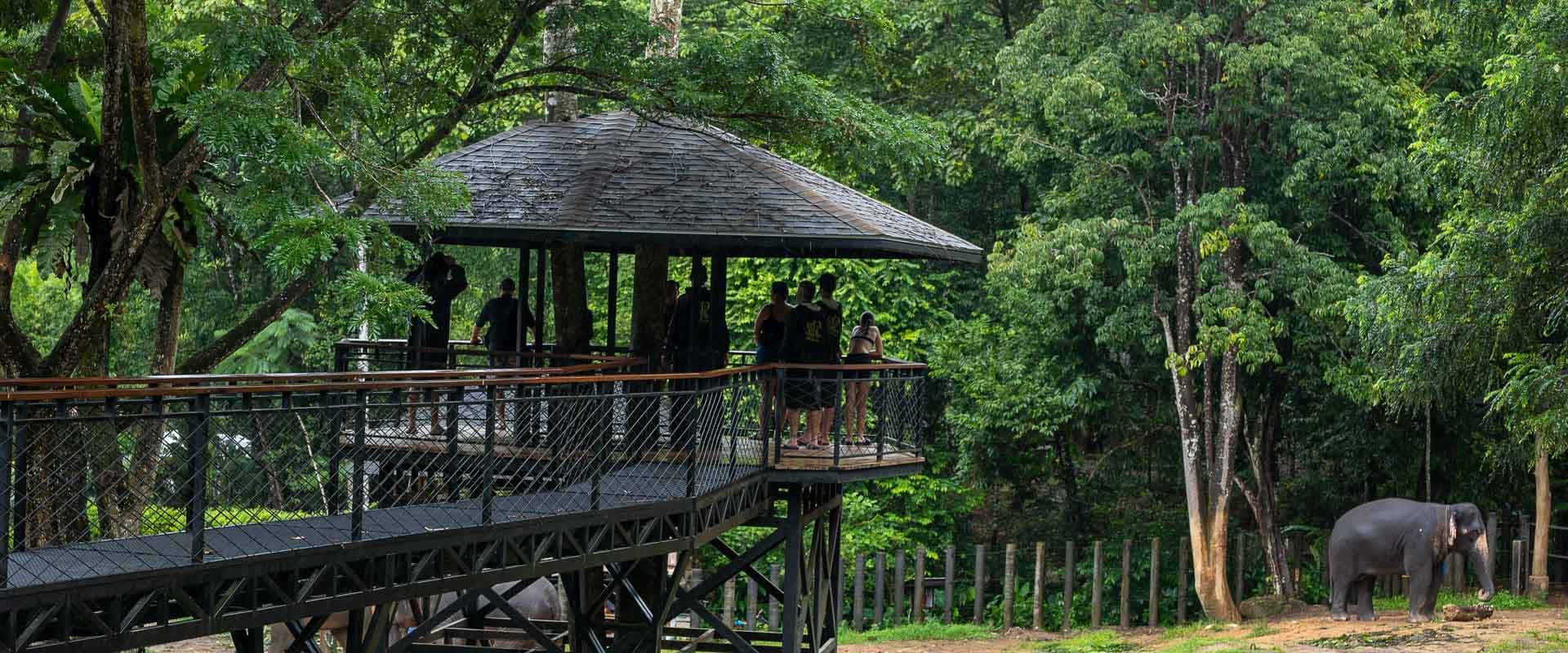 Tour image