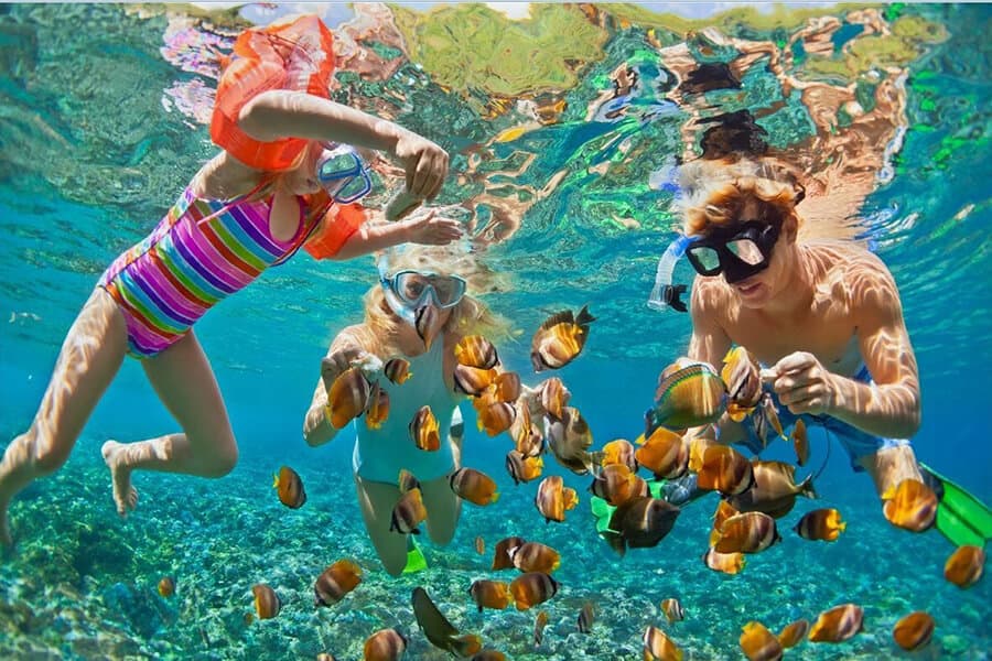 Small Group Tours