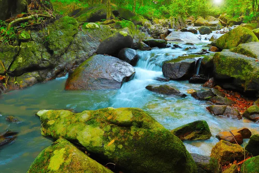 Bang Pae Waterfall