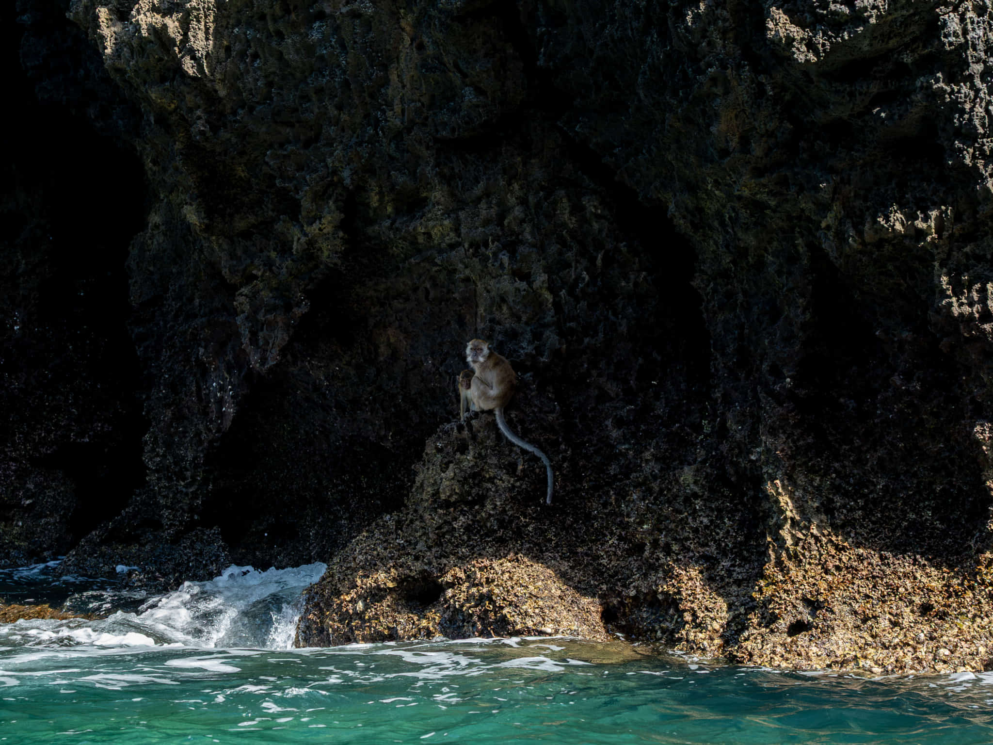Monkey Beach