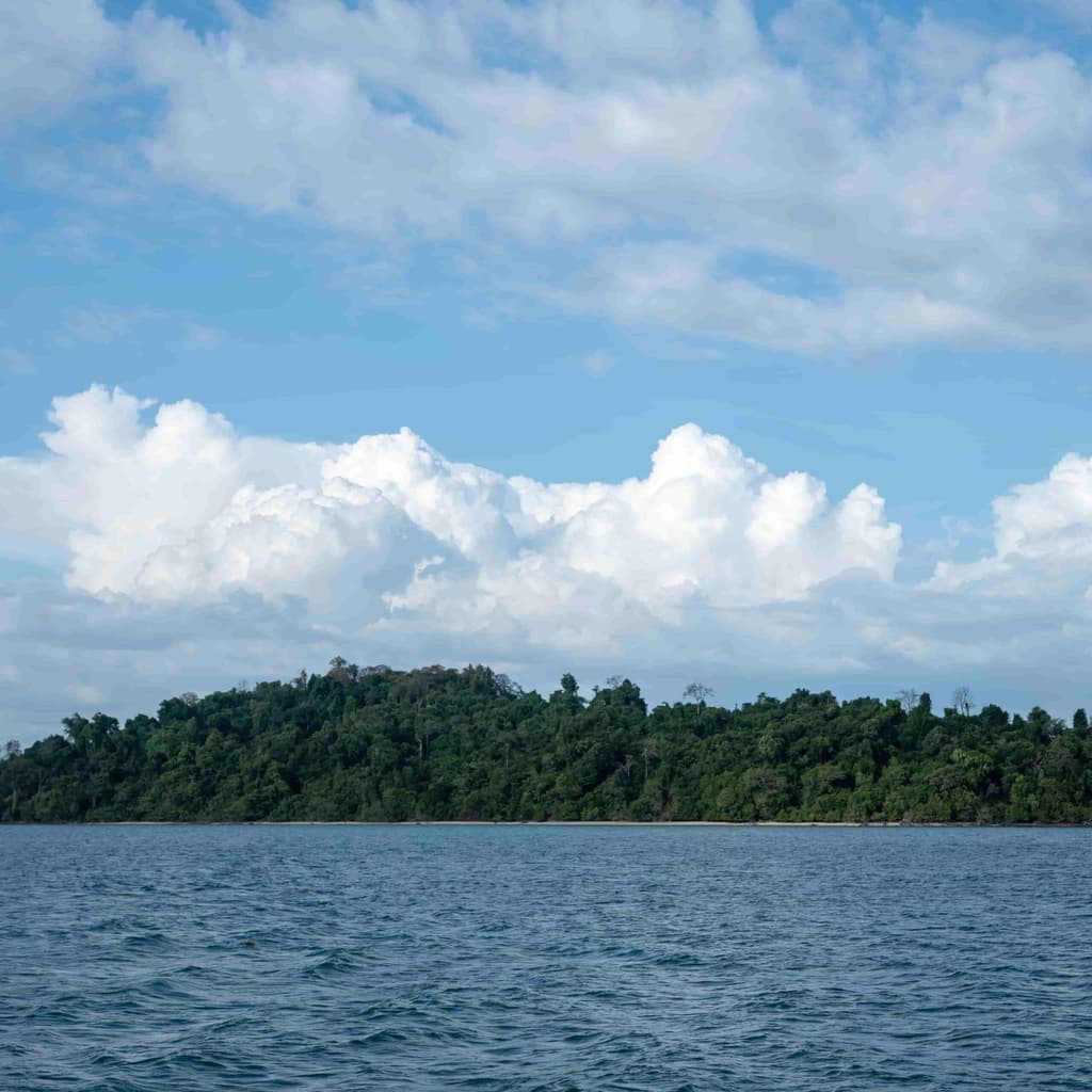 How to Plan the Perfect Phi Phi Island Hopping Day Trip