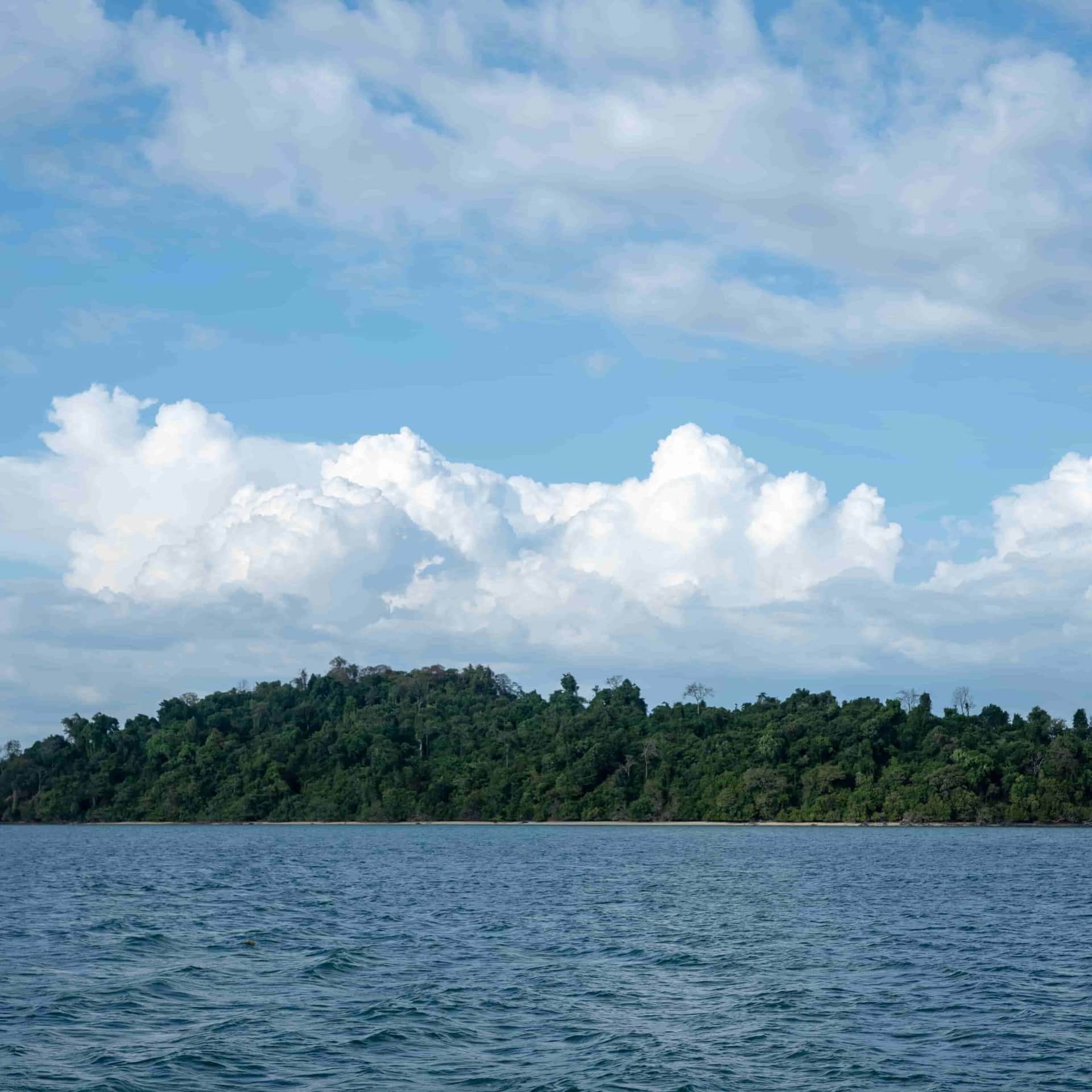 How to Plan the Perfect Phi Phi Island Hopping Day Trip