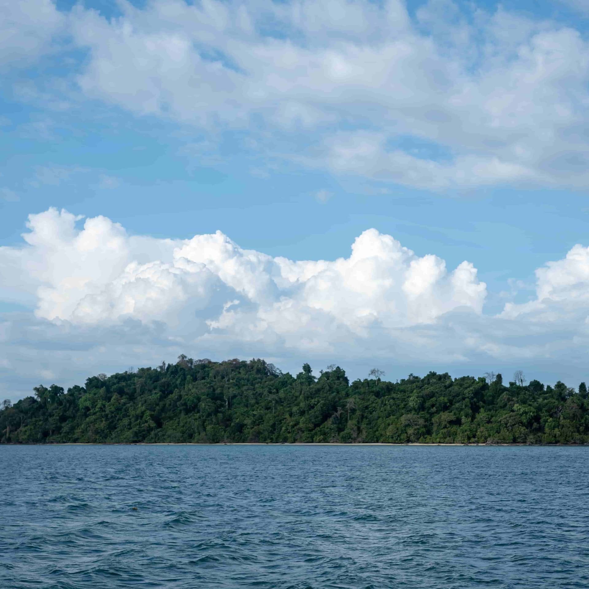 How to Plan the Perfect Phi Phi Island Hopping Day Trip