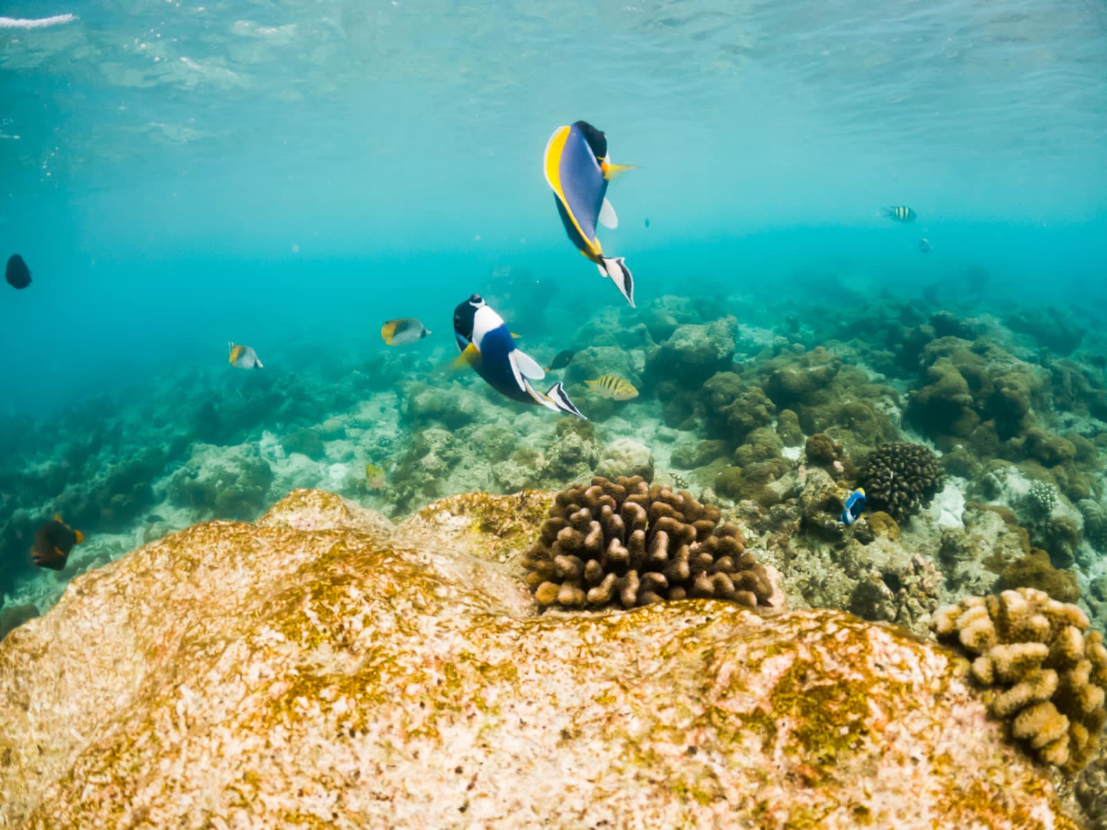 Small Group Tours