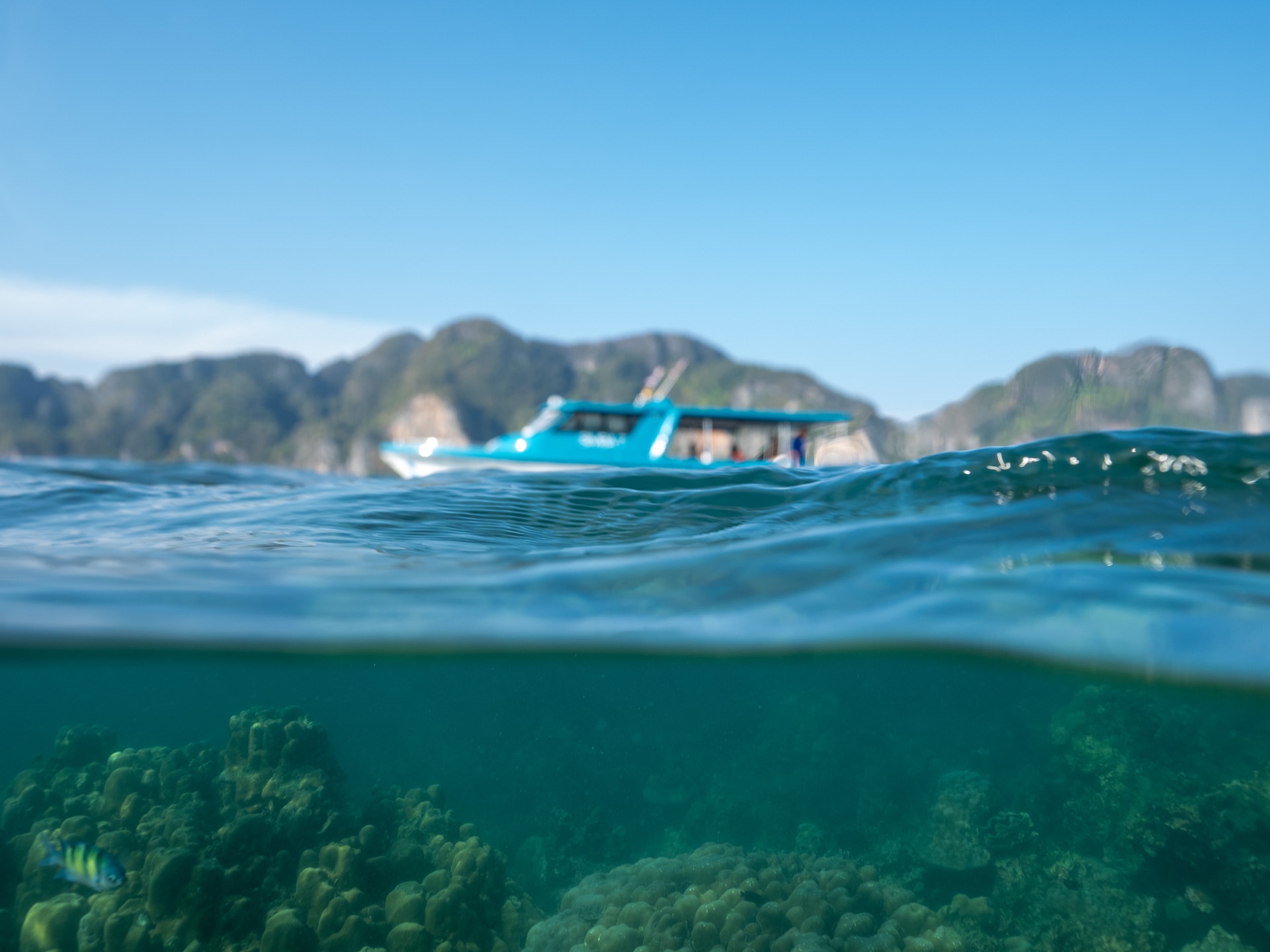 A small-group join-in boat tour departing for the Phi Phi Islands