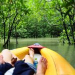 Eco-Friendly Boat Tours in Phuket