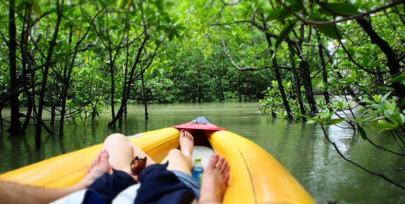 Eco-Friendly Boat Tours in Phuket