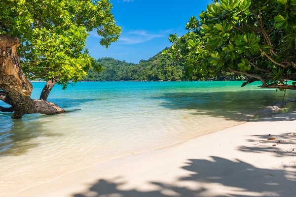 Surin Beach looking out into the blue waters from between two lush green trees on the beach