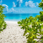 Tachai Island – a Divers Dream