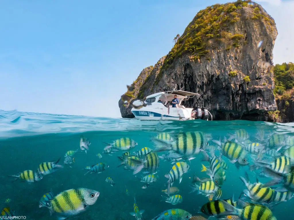 Best ways to Celebrate a Special Occasion in Phuket Simba Sea Trips
