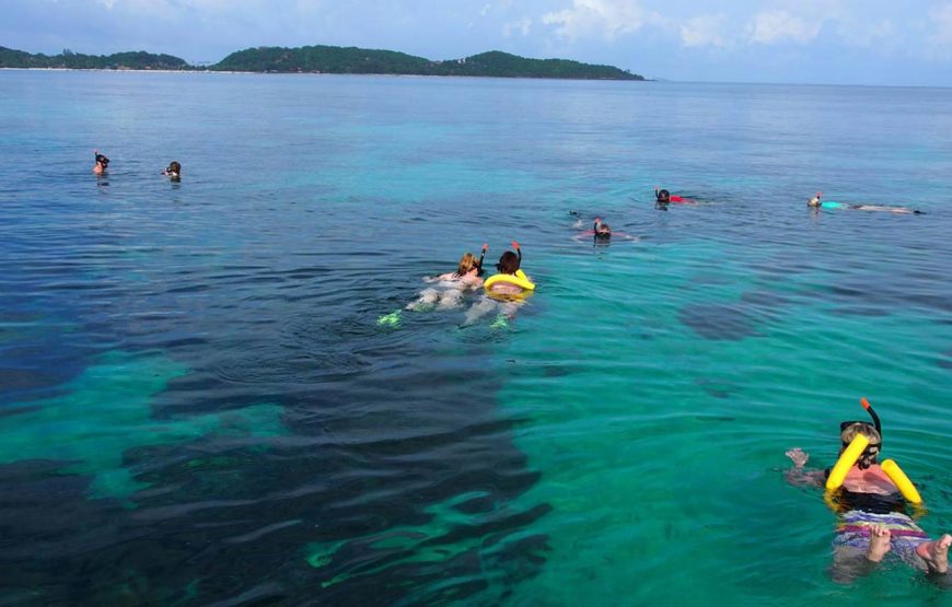 Phi Phi Islands Sunrise Tour
