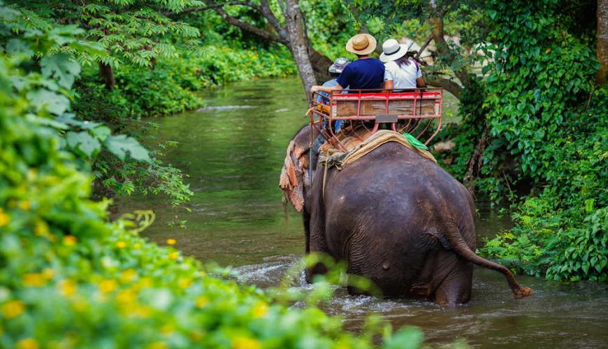 Elephant Trekking Phuket