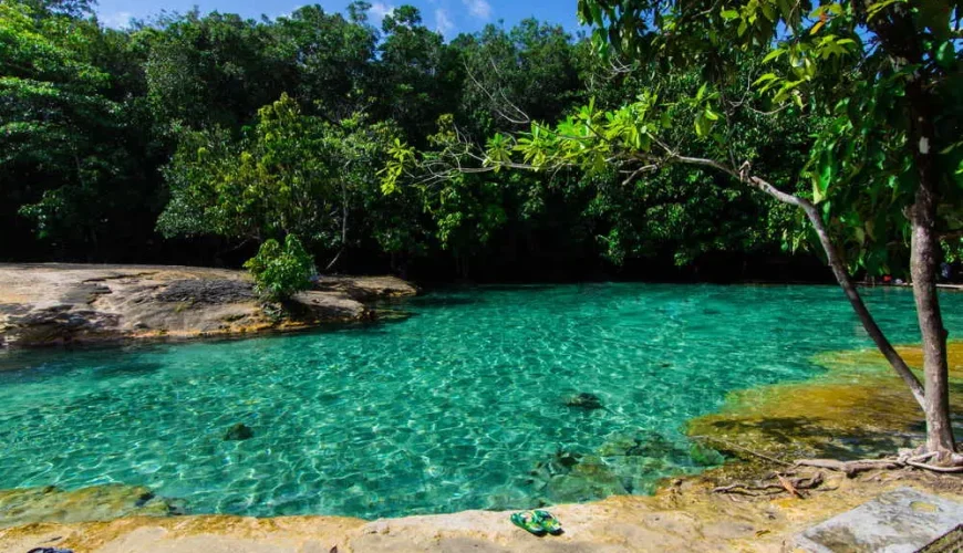 Experience the Emerald Pool in Krabi