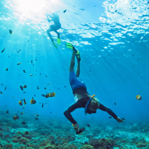 Koh Samet Best Snorkeling Spots in Thailand 