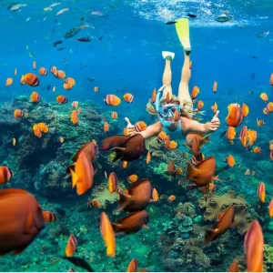 Koh Chang Best Snorkeling Spots in Thailand 