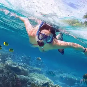  Koh Tao Island Best Snorkeling Spots in Thailand 