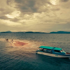 Simba Sea trips Speedboat near sandy beach, boat floating on water