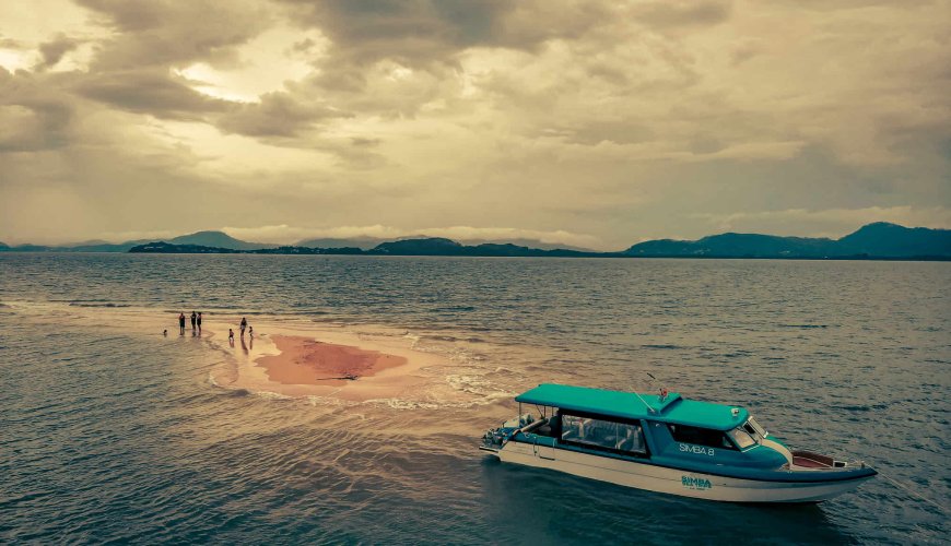 Simba Sea trips Speedboat near sandy beach, boat floating on water