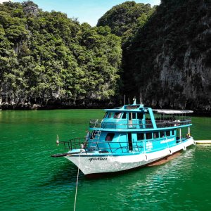 Simba Sea trips boat drifts in green water by cliff