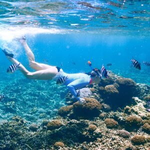 Lady snorkeling at the Phi Phi Islands underwater shot with fish and coral.