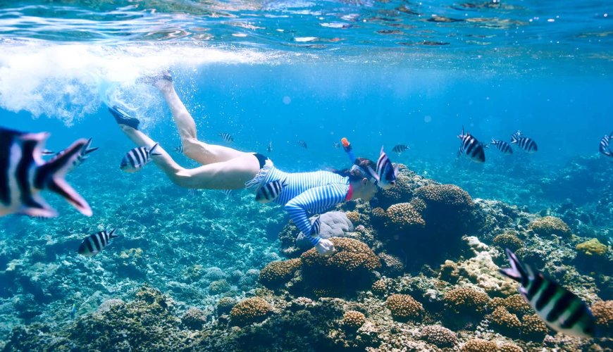 Lady snorkeling at the Phi Phi Islands underwater shot with fish and coral.