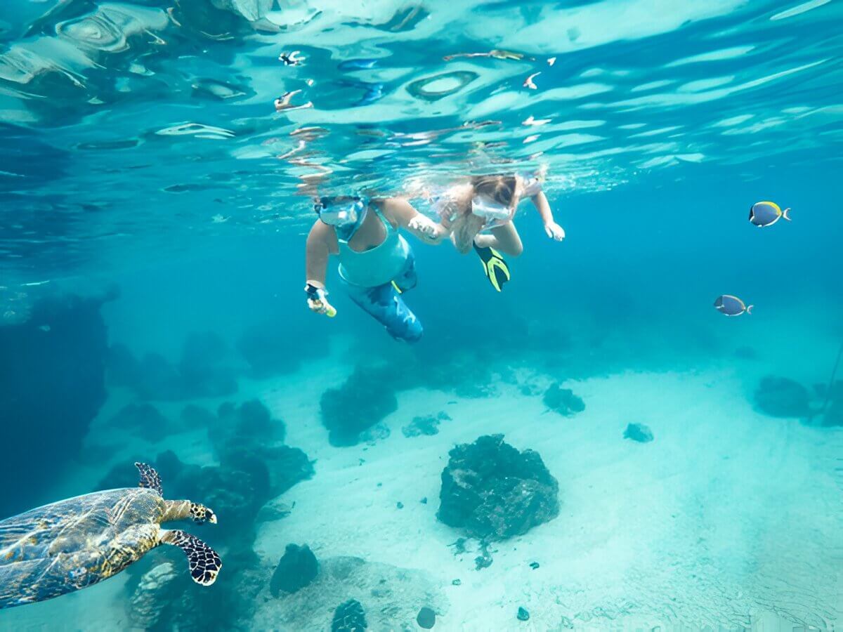 Dive Into Adventure: Snorkeling in Phang Nga Province