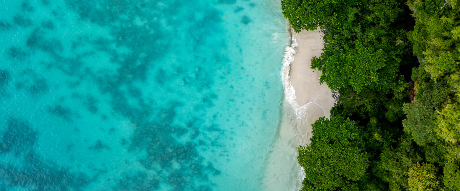 Private Charter — Coral Delight