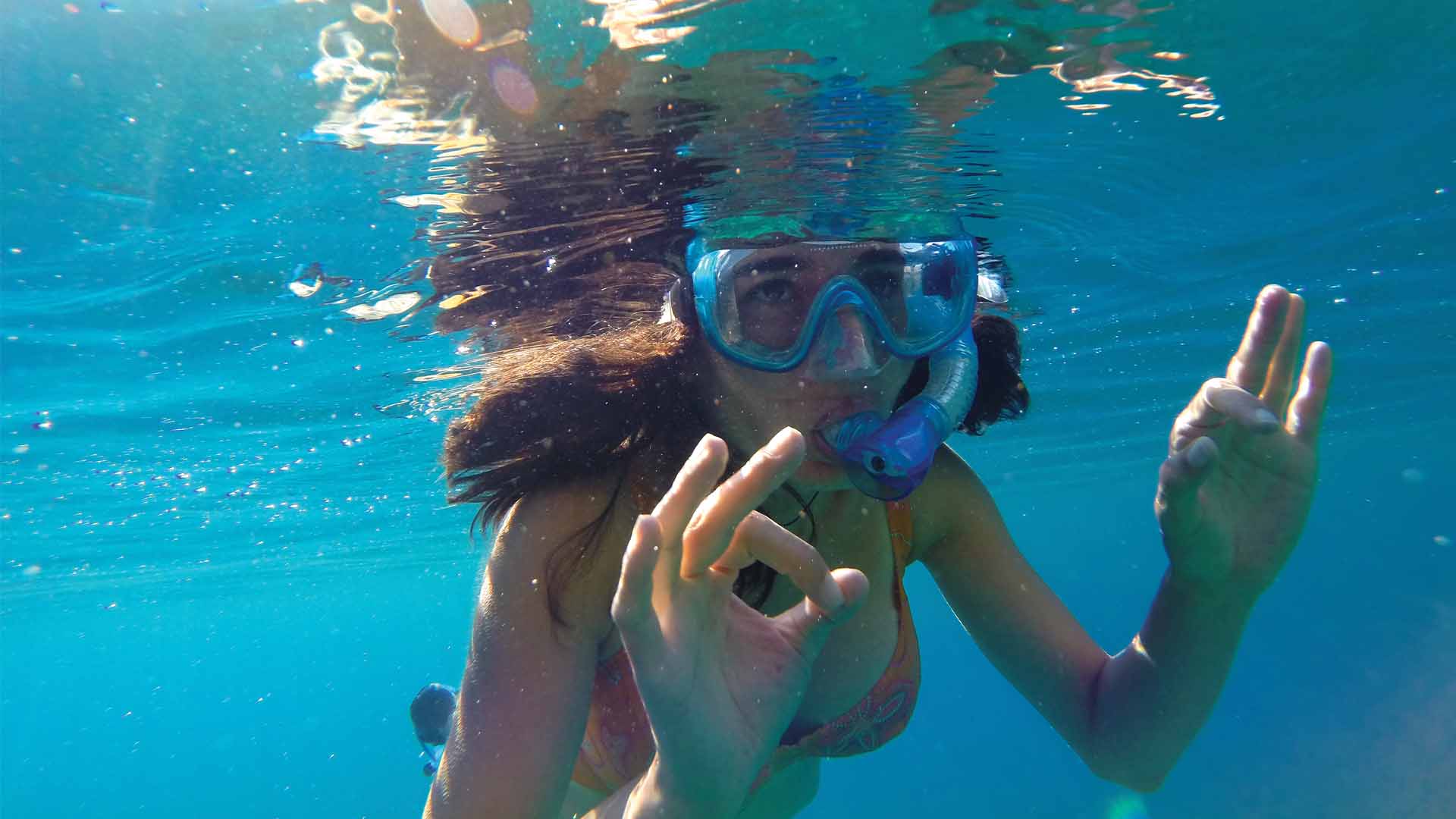A woman wearing a bikini and snorkel goggles is exploring the underwater marine life.
