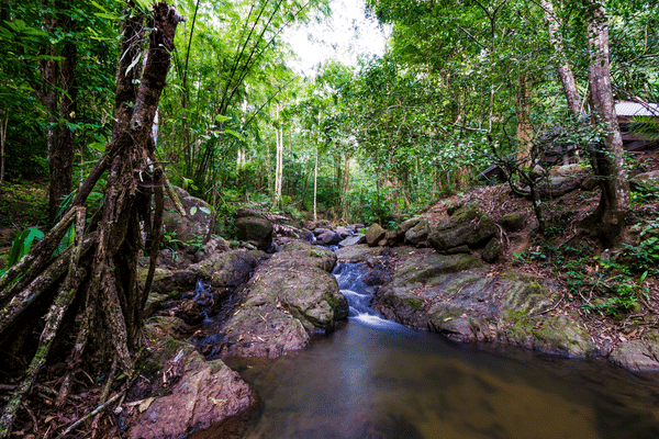 Bang Pae Waterfall Simba Sea Trips