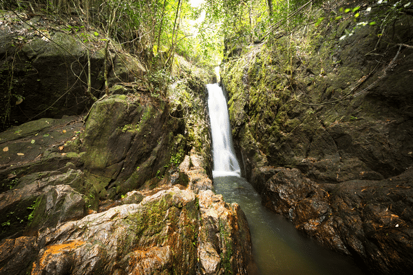 Bang Pae Waterfall Simba Sea Trips