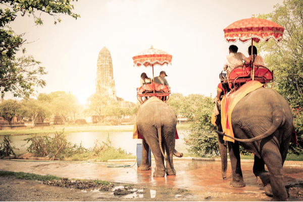 Elephant Trekking Phuket Simba Sea Trips