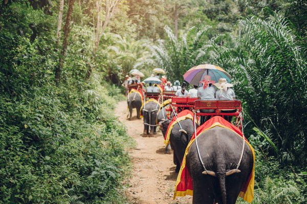 Krabi Island Elephant Trekking Phuket