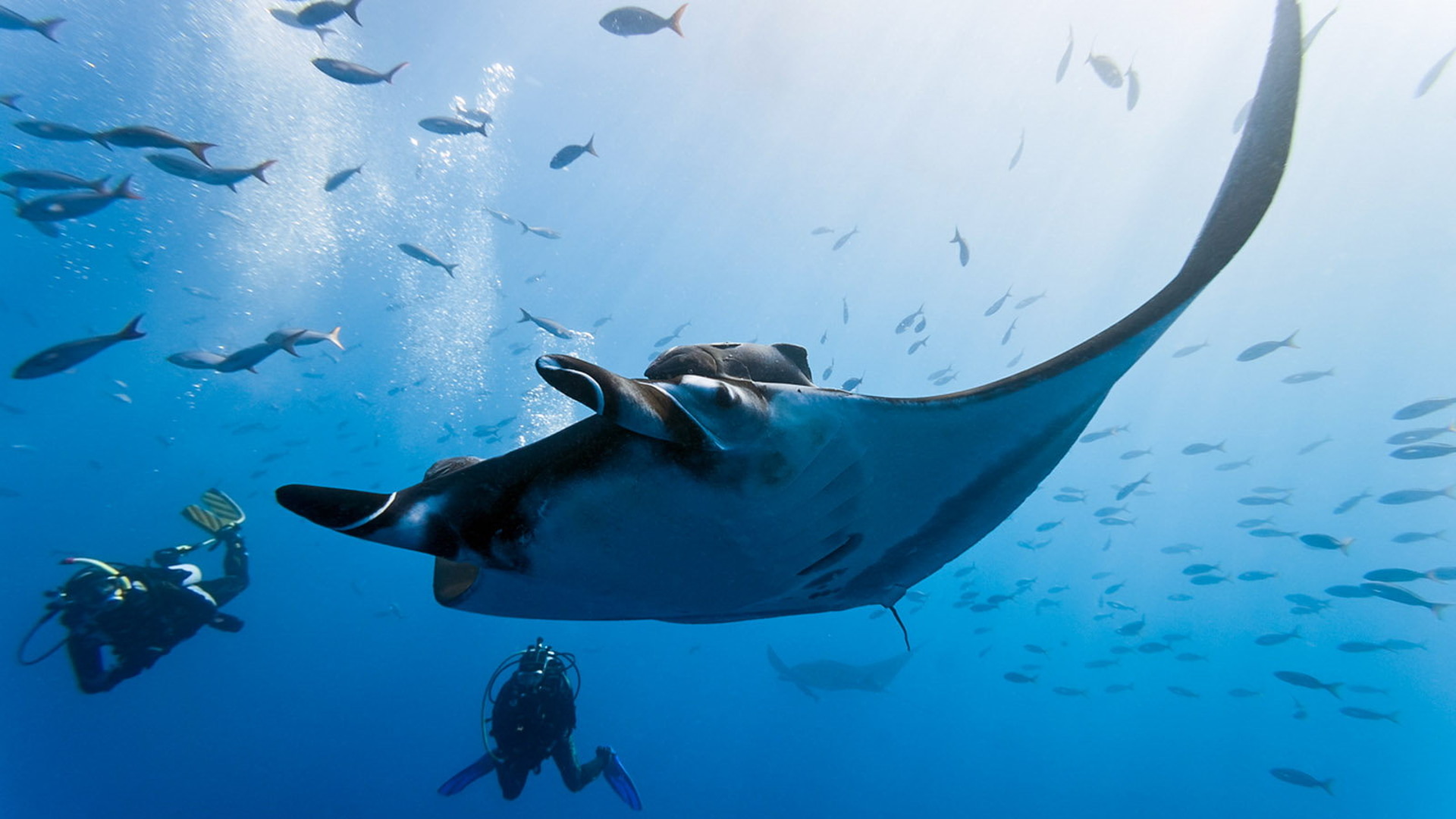 Dive Site Challenges