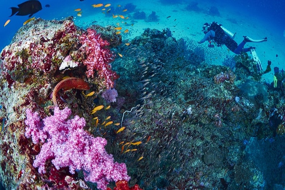 Similan Island The best Islands near Phuket