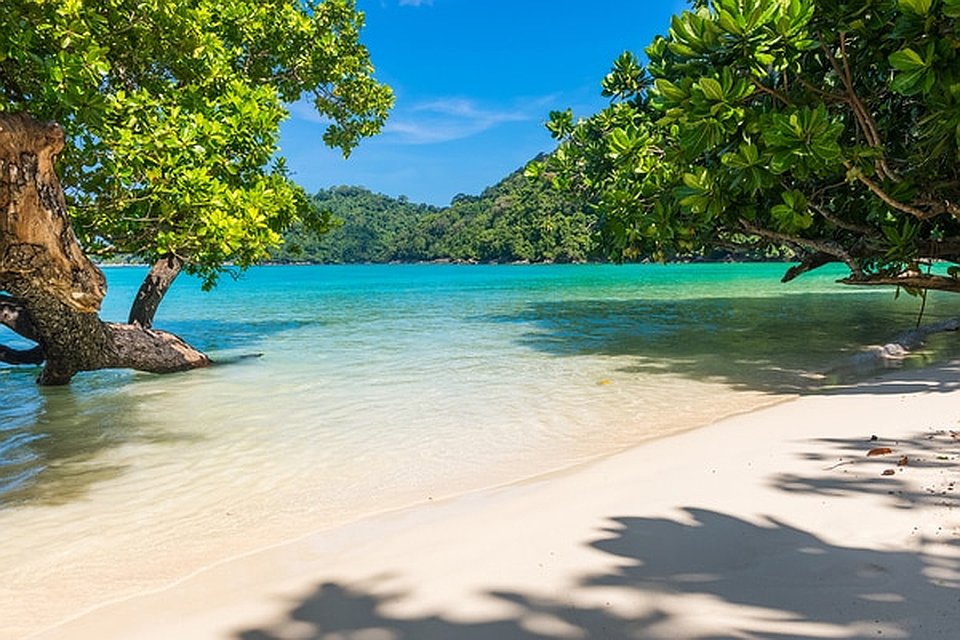 Surin Beach in Phuket Simba Sea Trips