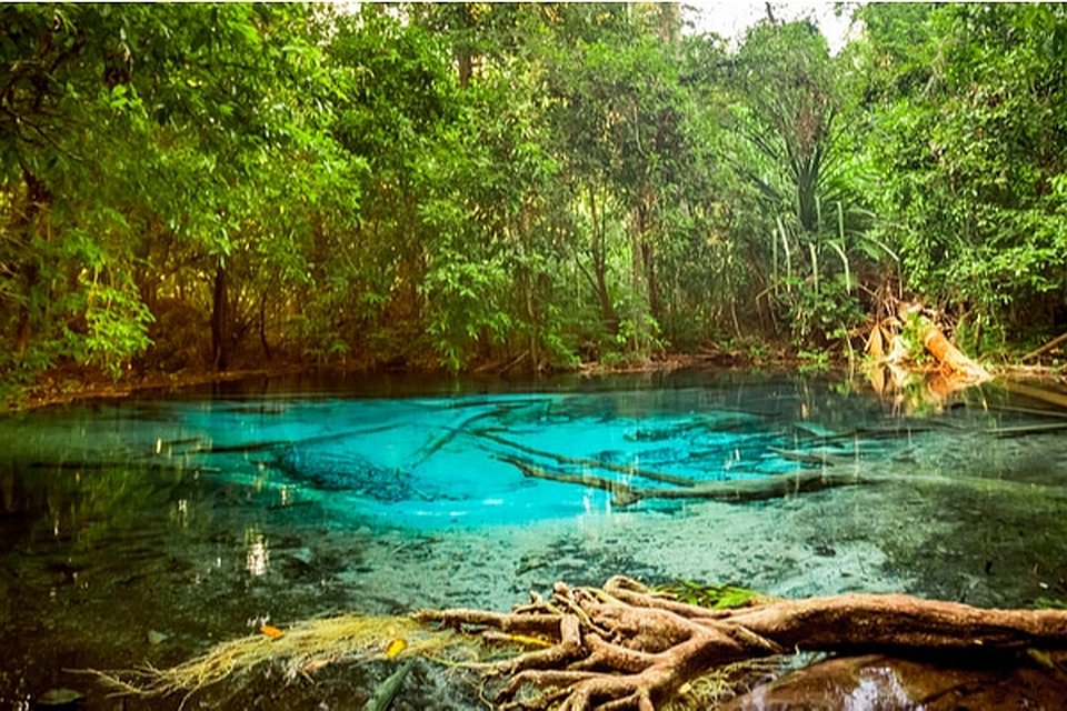 Emerald Pool Krabi Experience the Emerald Pool in Krabi