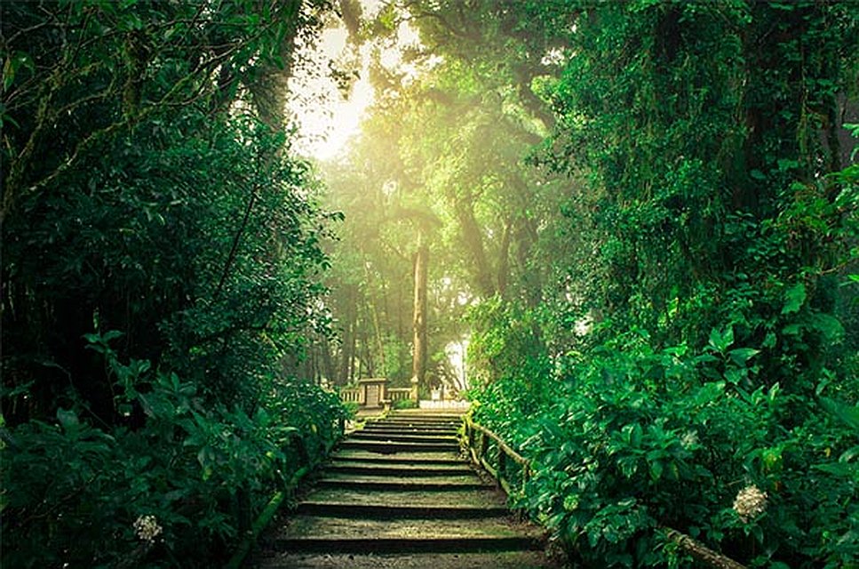 Doi Inthanon National Park Trail
