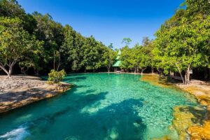 Clear turquoise water surrounded by trees. Emerald pool Krabi