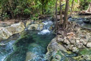 Natural hot springs in Krabi surrounded by greenery