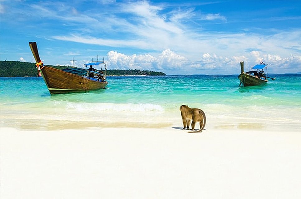 Phi Phi Island The famous Monkey Beach, Thailand | Thailand Must Visit